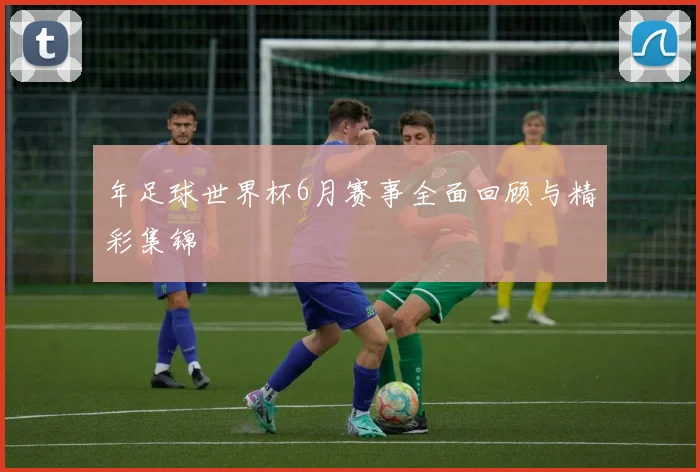 年足球世界杯6月赛事全面回顾与精彩集锦