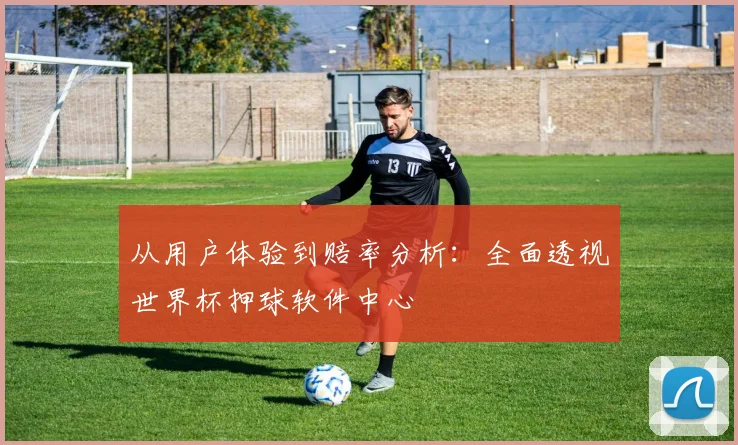 从用户体验到赔率分析：全面透视世界杯押球软件中心