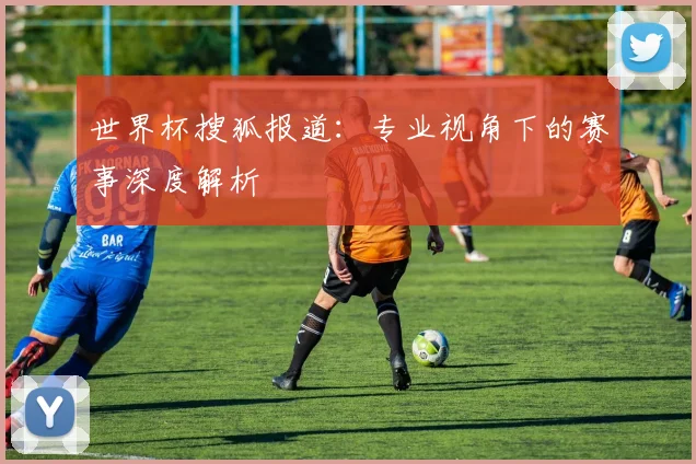 世界杯搜狐报道:专业视角下的赛事深度解析