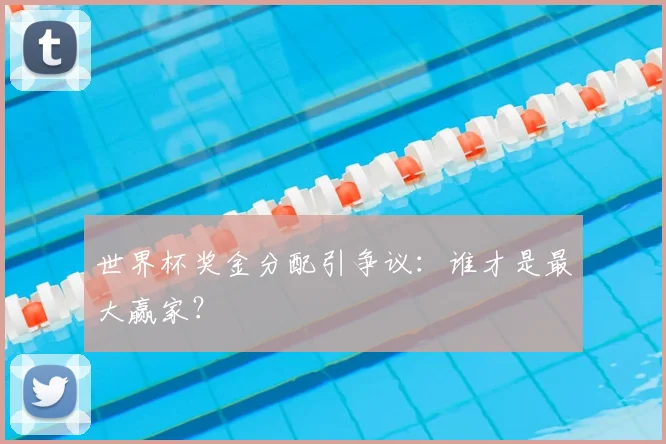世界杯奖金分配引争议:谁才是最大赢家?