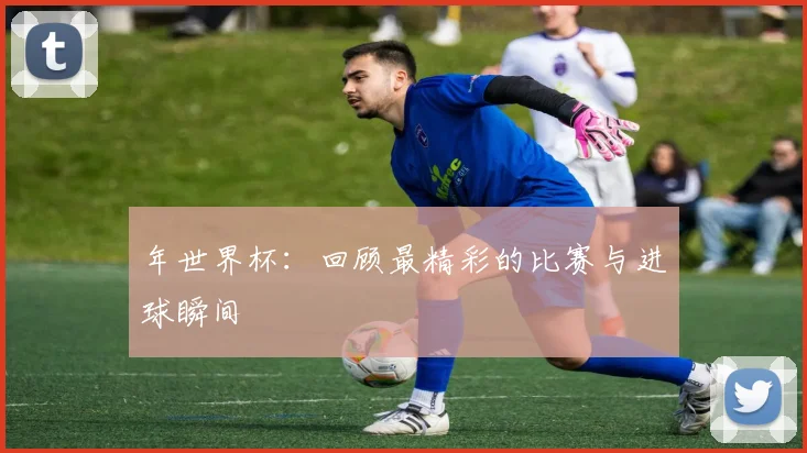 年世界杯：回顾最精彩的比赛与进球瞬间