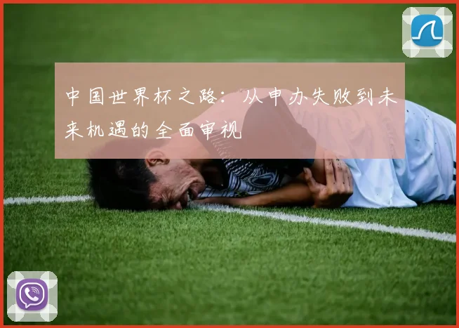 中国世界杯之路：从申办失败到未来机遇的全面审视