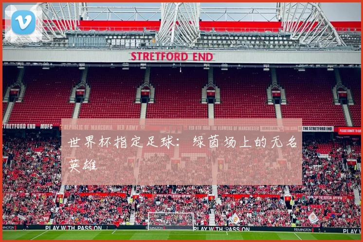 世界杯指定足球：绿茵场上的无名英雄