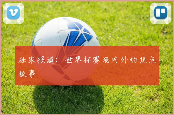 独家报道：世界杯赛场内外的焦点故事