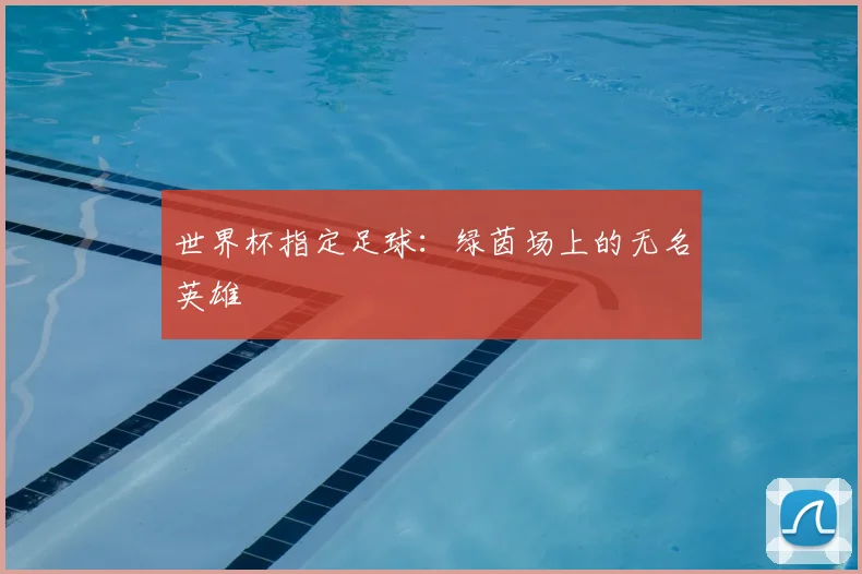 世界杯指定足球：绿茵场上的无名英雄