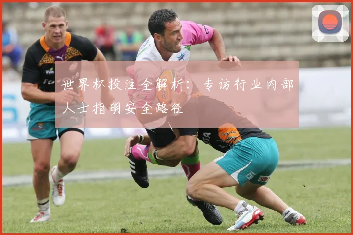 世界杯投注全解析：专访行业内部人士指明安全路径