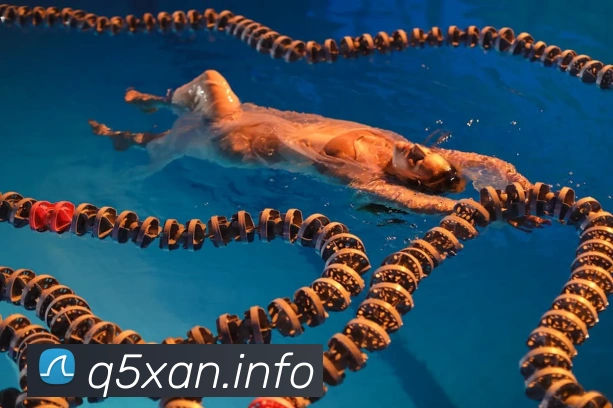 九游官网j9平台生态图